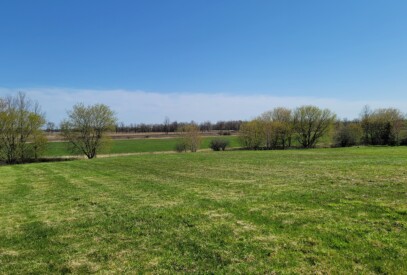 Photo showing one of the fields with tent camping